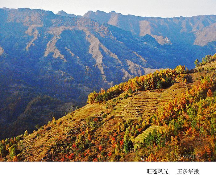 旺苍县离城最近的乡镇,旺苍原尚武镇一瞥-出走网