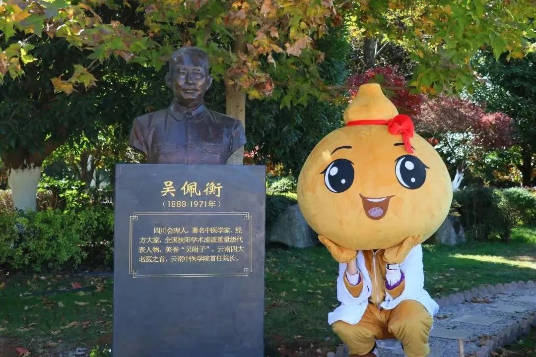 云南中医药大学喜迎60华诞