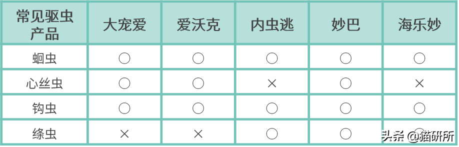 怀疑猫咪有寄生虫，铲屎官如何排查？