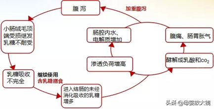 宝宝腹泻如何家庭护理？腹泻奶粉、益生菌、乳糖酶，哪一种更靠谱