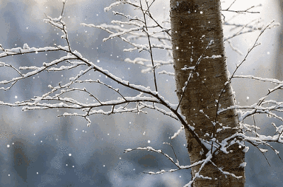 诗词鉴赏-一片雪花落在手，十首听雪诗词，感受古人诗意的冬天