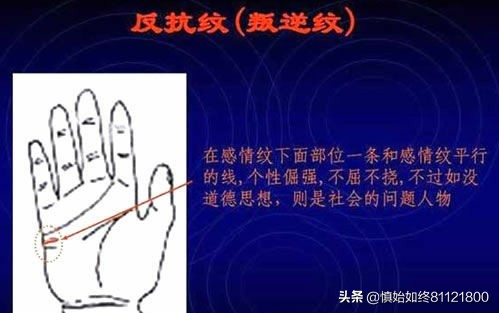 通用的简易手相算命图解——掌握自己的命运密码。
