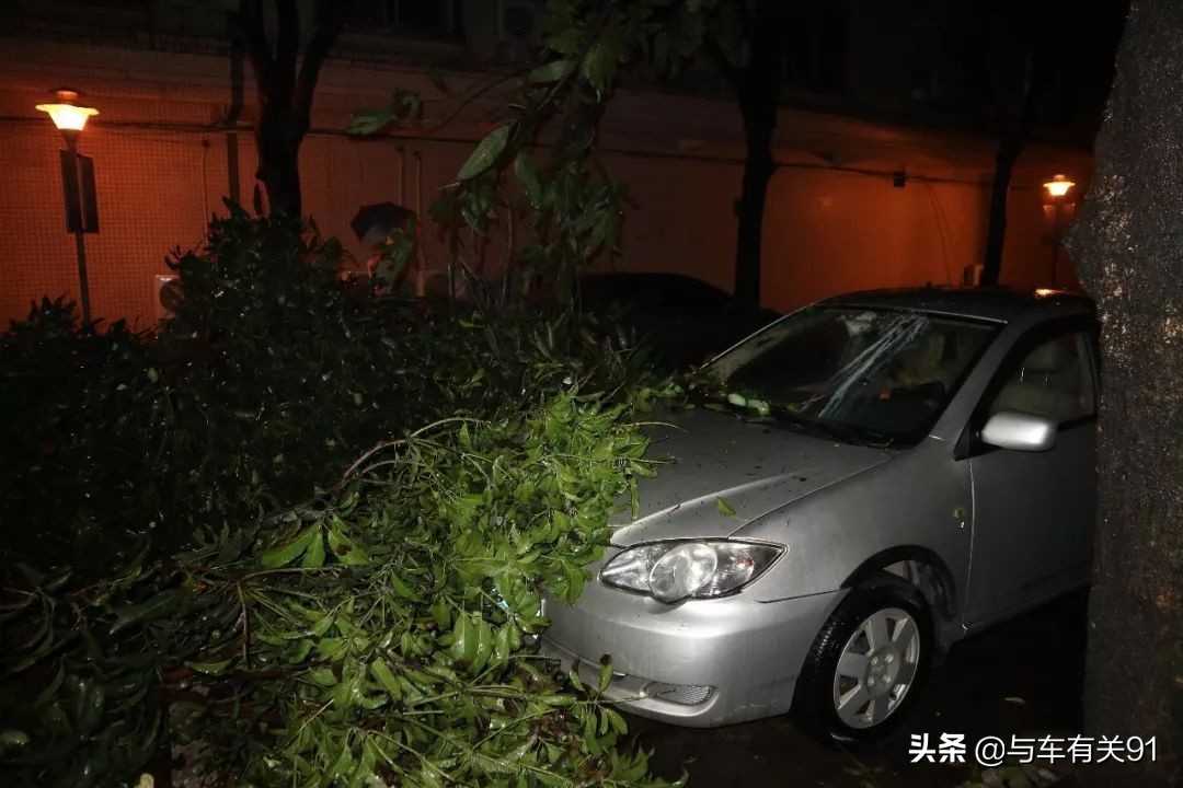 说天灾不赔怎么办(天灾保险不赔)