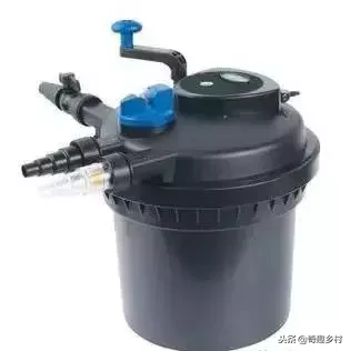 院子里应该有个小池塘，没有就自己动手挖个！（附实际操作图）