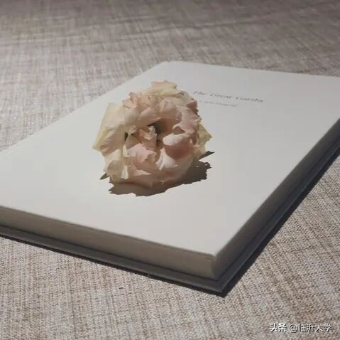 在？看看《浮生物语》吧