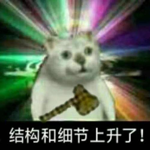 憨憨猫表情包合集｜奇怪的知识增加了