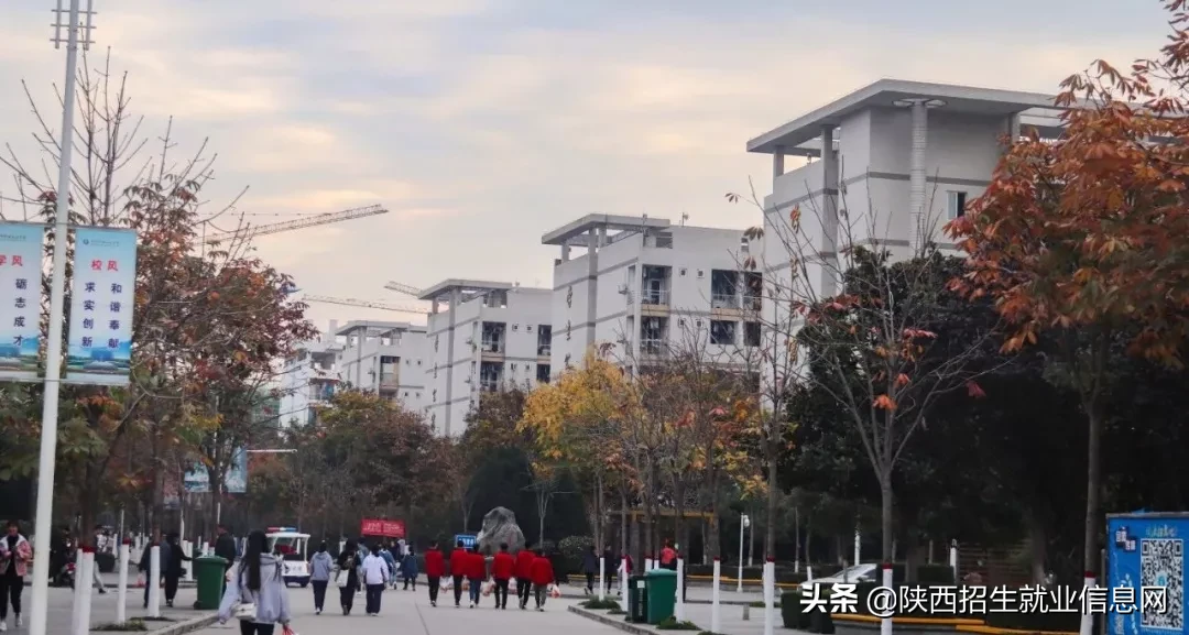 阳光正好丨多维度、高清图，带你一起了解咸阳职业技术学院
