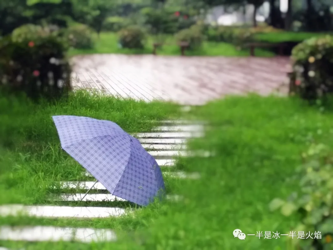 关于七月的雨散文
