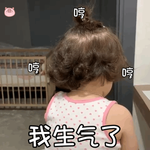 表情包：把我拍那么丑，我生气了！