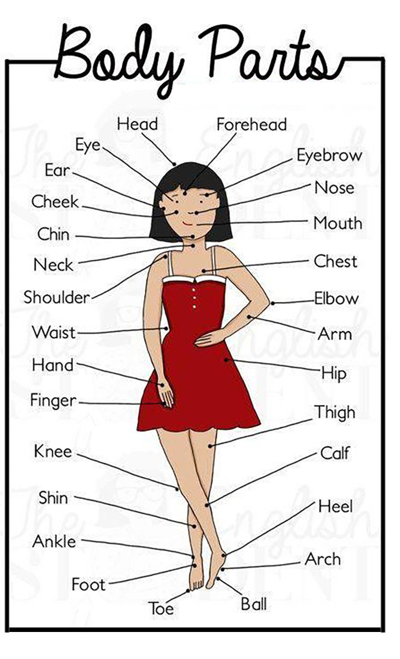 Pronunciation Guide: How to Say 