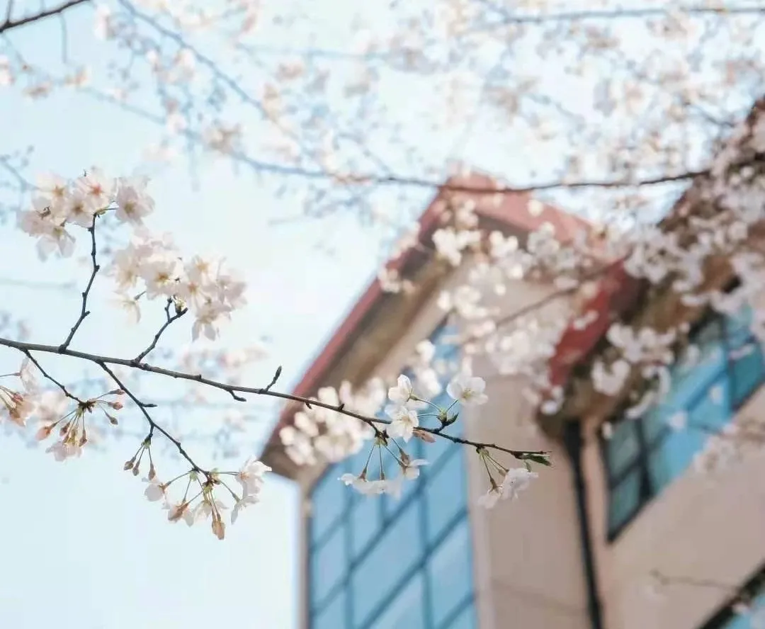 上海财经大学2022年金融硕士首席经济学家方向研究生招生简章