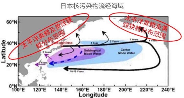 真鳕鱼补脑，假鳕鱼、核废水鳕鱼伤身，一图搞定宝宝鳕鱼