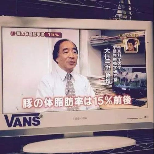 你的「体脂率」可能比猪高，快来测测你的体脂率