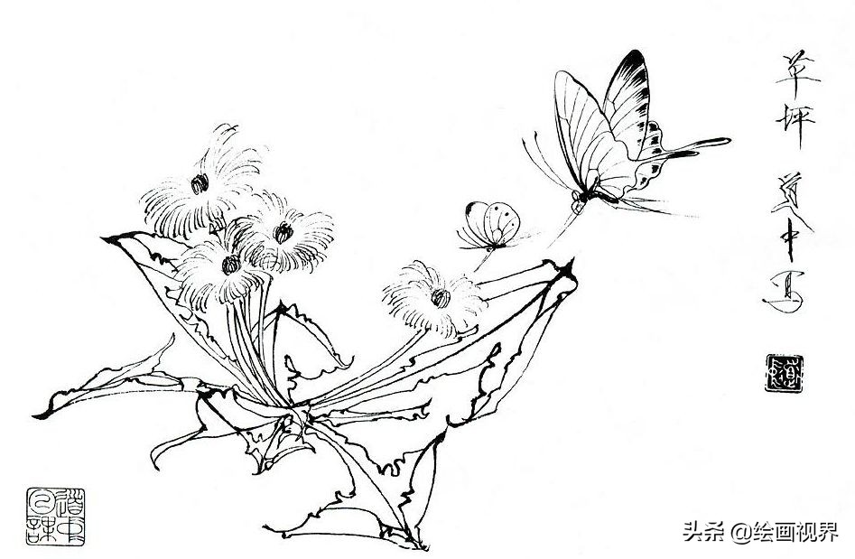 蝴蝶的画法遵循以意描画,才是白描花卉中蝴蝶正确的画法