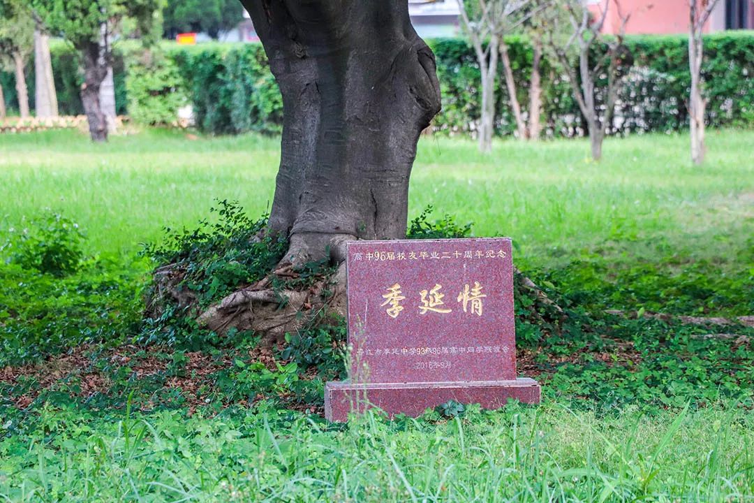 愿你出走半生，归来仍是少年