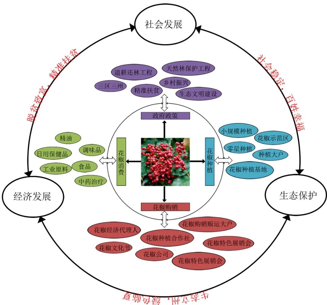 赞！西大学子喜获“挑战杯”15项大奖