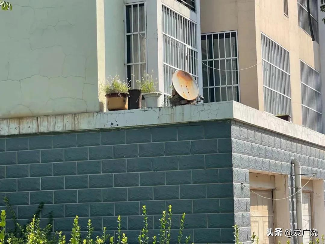 屡禁不止！！广饶同和、同悦、新城花园小区被实名曝光