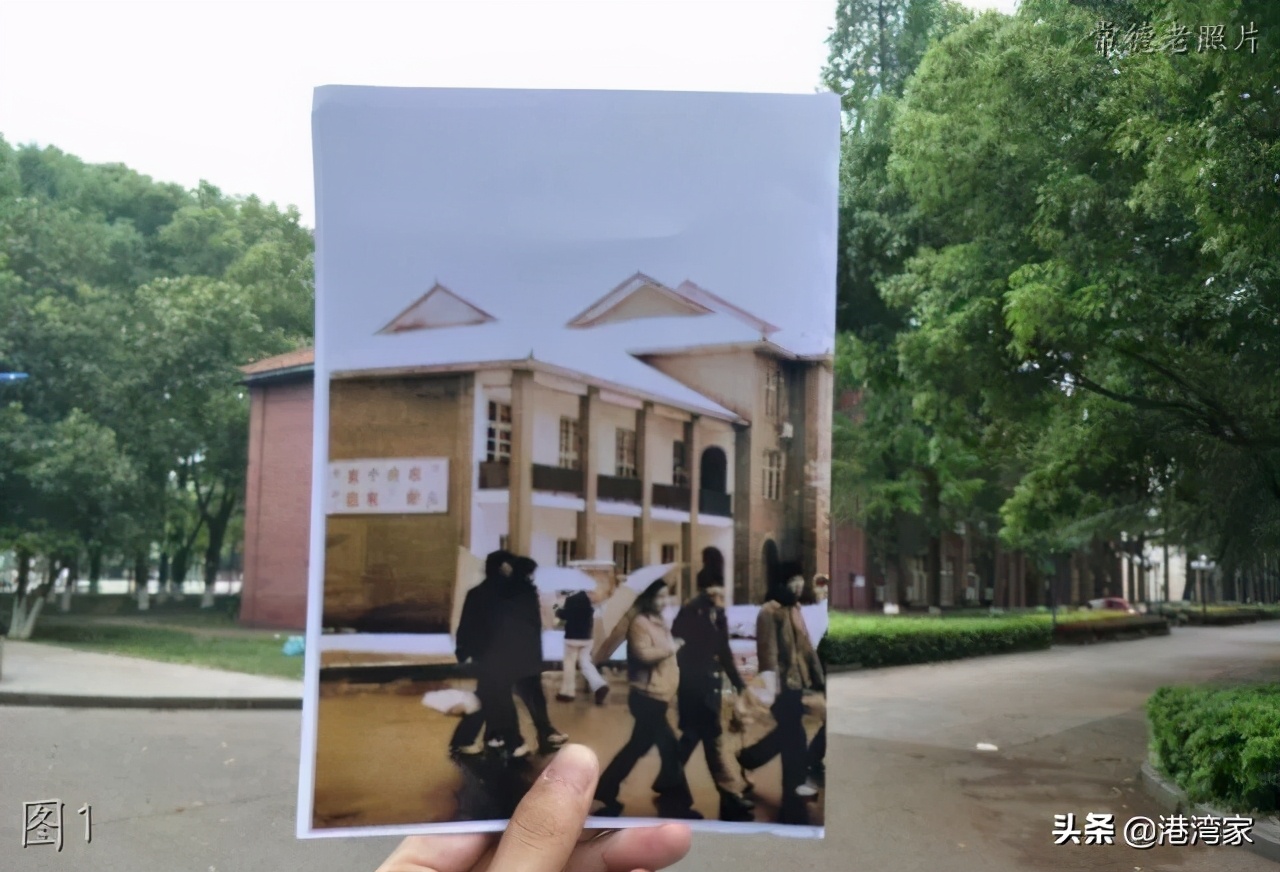 湖南文理学院老照片：T3，运动会，图书馆，林荫路，师专