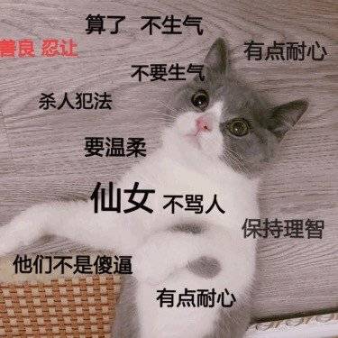 女生斗图表情包：不约不约，今天真的不约