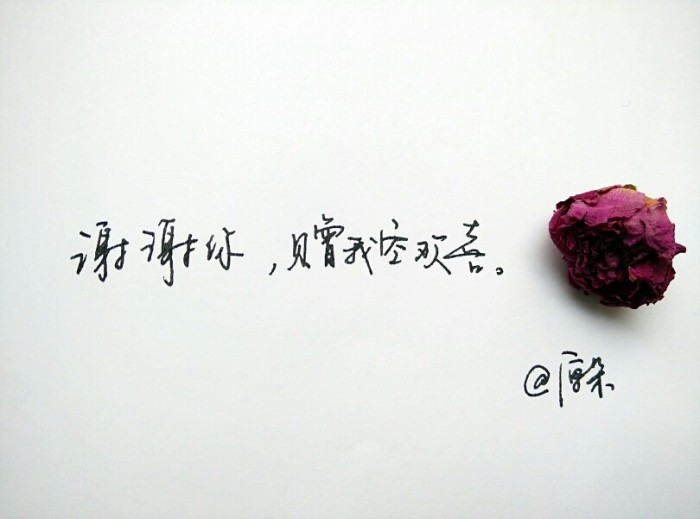 弹一首春夏秋冬，唱着时光的永恒，愿你如爱所愿，成为最幸福的人
