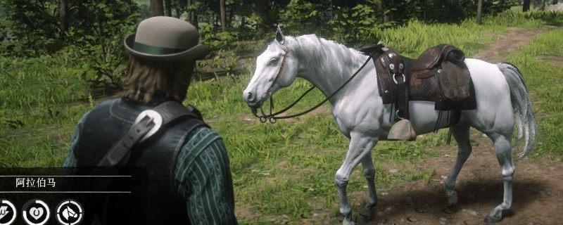 荒野大镖客2三种稀有马位置