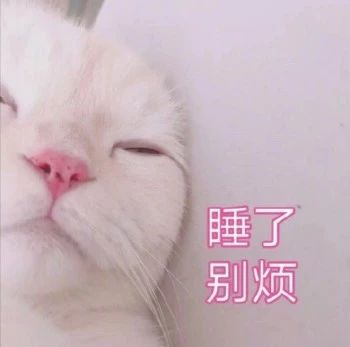 性感猫咪，在线陪聊