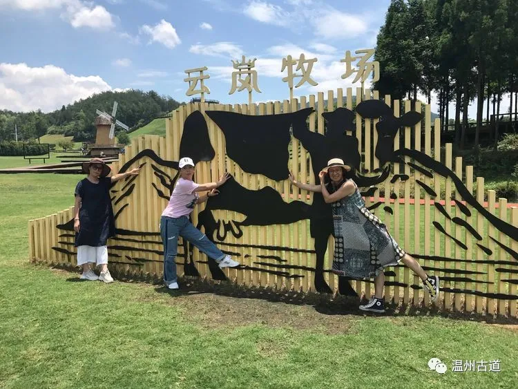 我心飞扬，在云岚牧场