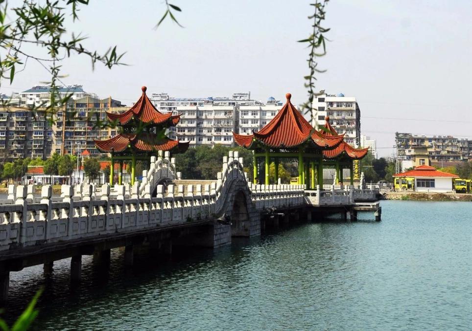 湖北省高考状元的