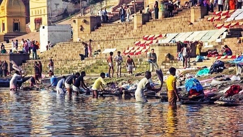印度500万只甲鱼泛滥成灾，为何印度人自己不愿吃？