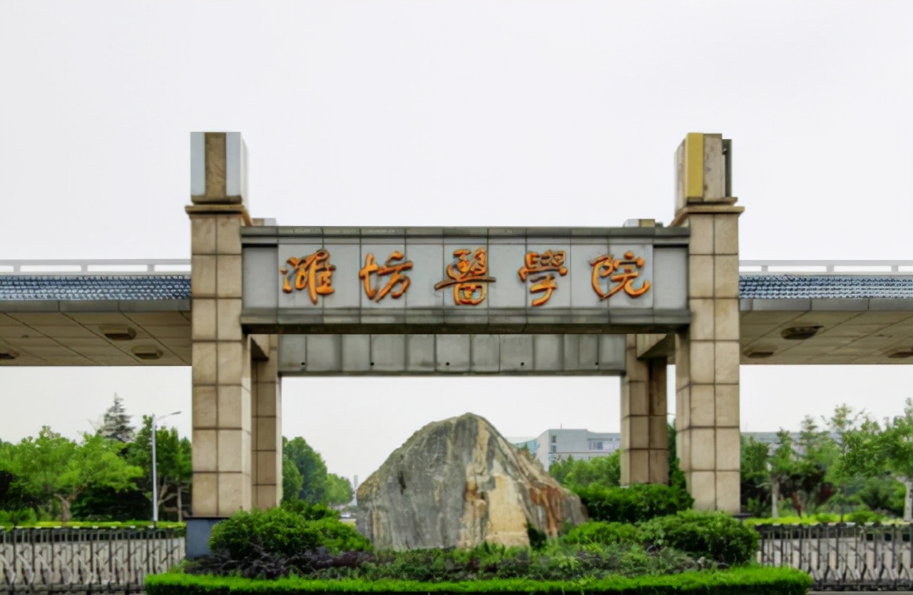 喜讯，山东省将迎来4所“新大学”，当地考生有福了