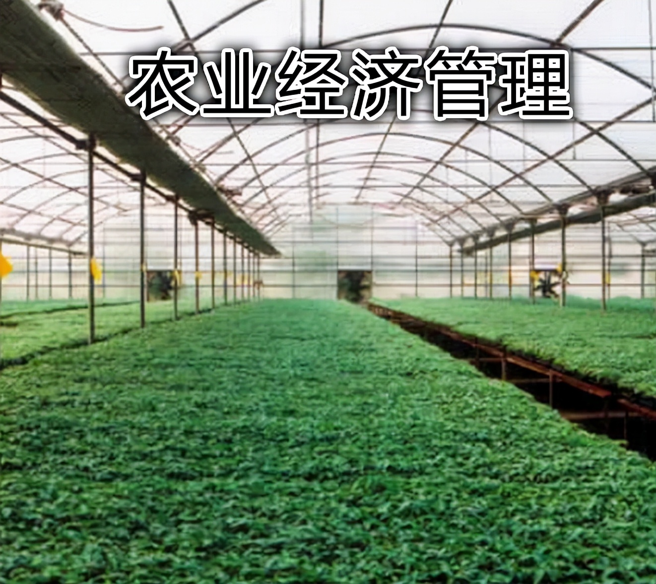 明明是经管类专业，却常被误认为农学专业，农业经济管理类的悲哀