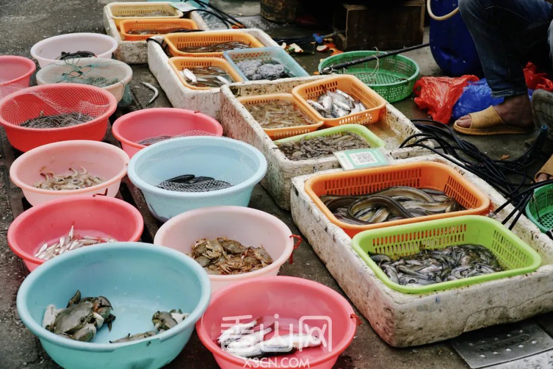 珠海海边哪里有海鲜批发市场(唐家海鲜旧市场,隐藏在珠海的海鲜天堂)
