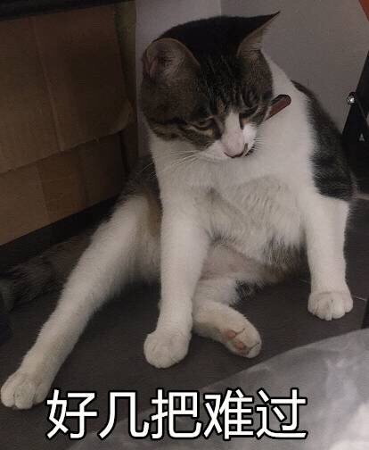 问妈妈要零花钱系列猫咪表情包