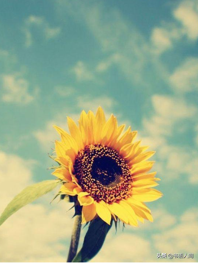 写给爷爷：我想念您，不只在清明，也在每一个清晨与日落