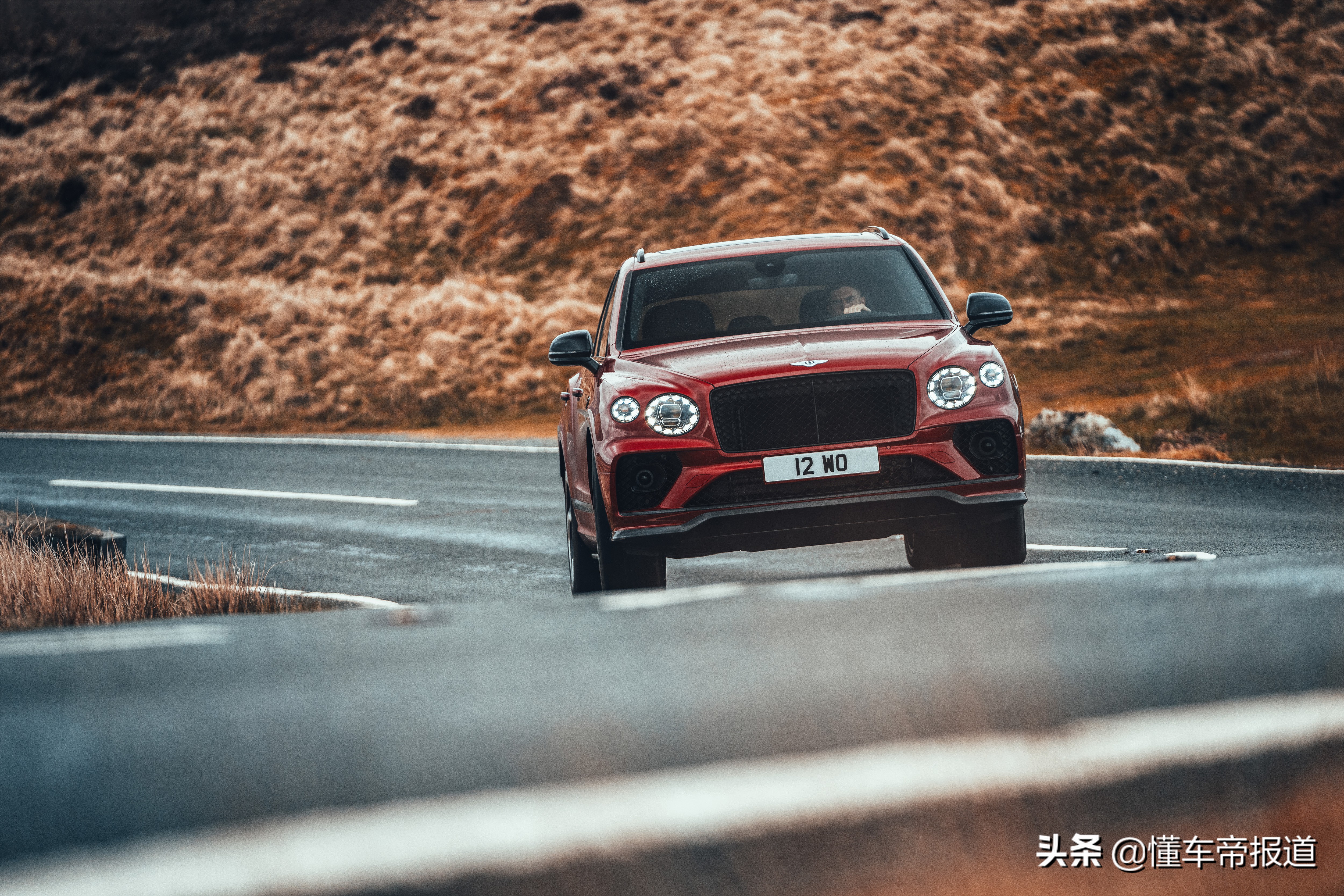 新车 | 新款奥迪A8、宾利添越S领衔，广州车展11款必看重磅豪华车