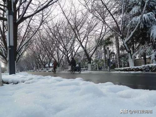 红墙，白雪，琉璃瓦，大雪压青松