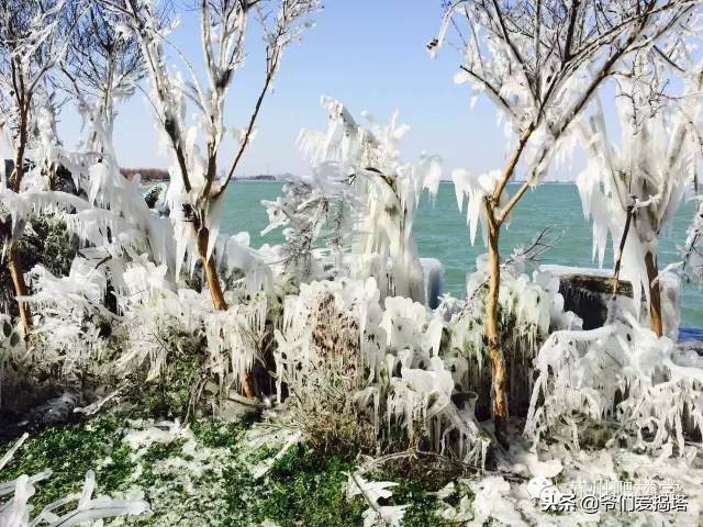 红墙，白雪，琉璃瓦，大雪压青松