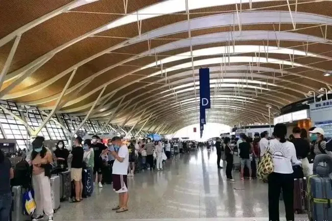 花了140万留学美国，回国工资仅4500？数据揭晓疫情后的海归现状