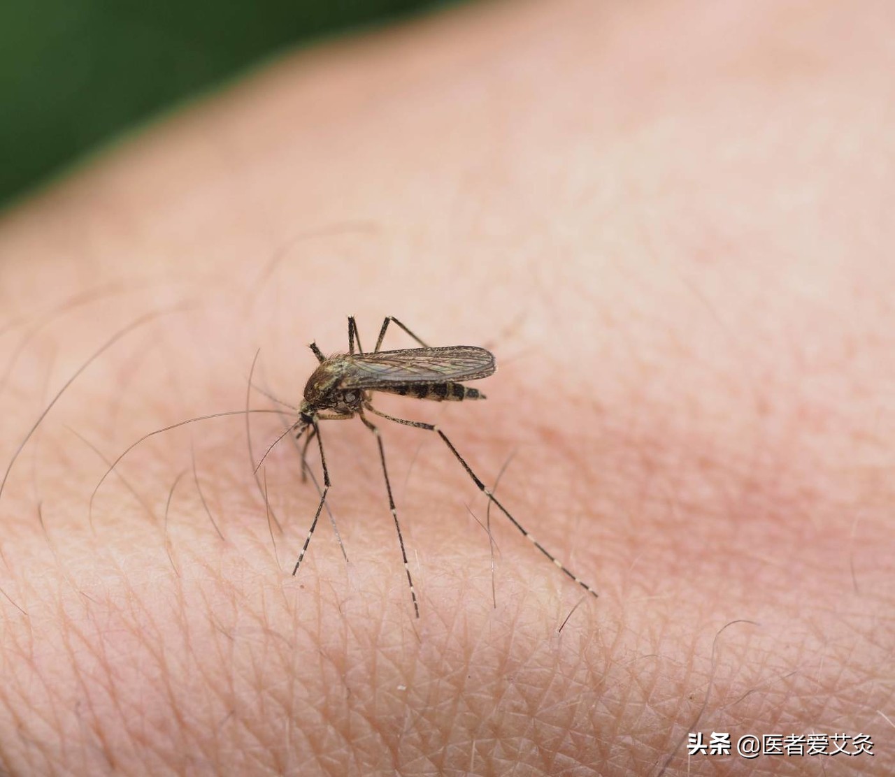 耳朵瘙痒难忍？妙用霍香正气水，轻松搞定！快来试试吧