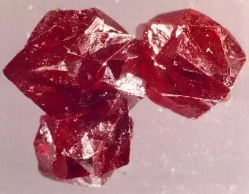 化学化学告诉我,口红是用什么制作的?