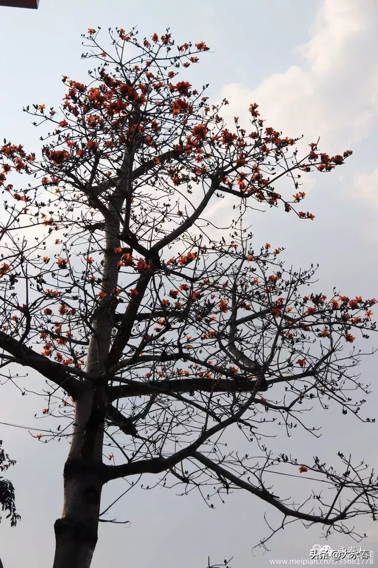 美哉！我们的永春三中