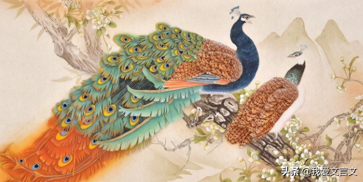 经典文言文赏析 | 南人捕孔雀