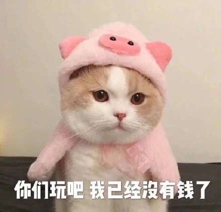 猫咪表情包：我是一个没有感情的杀手