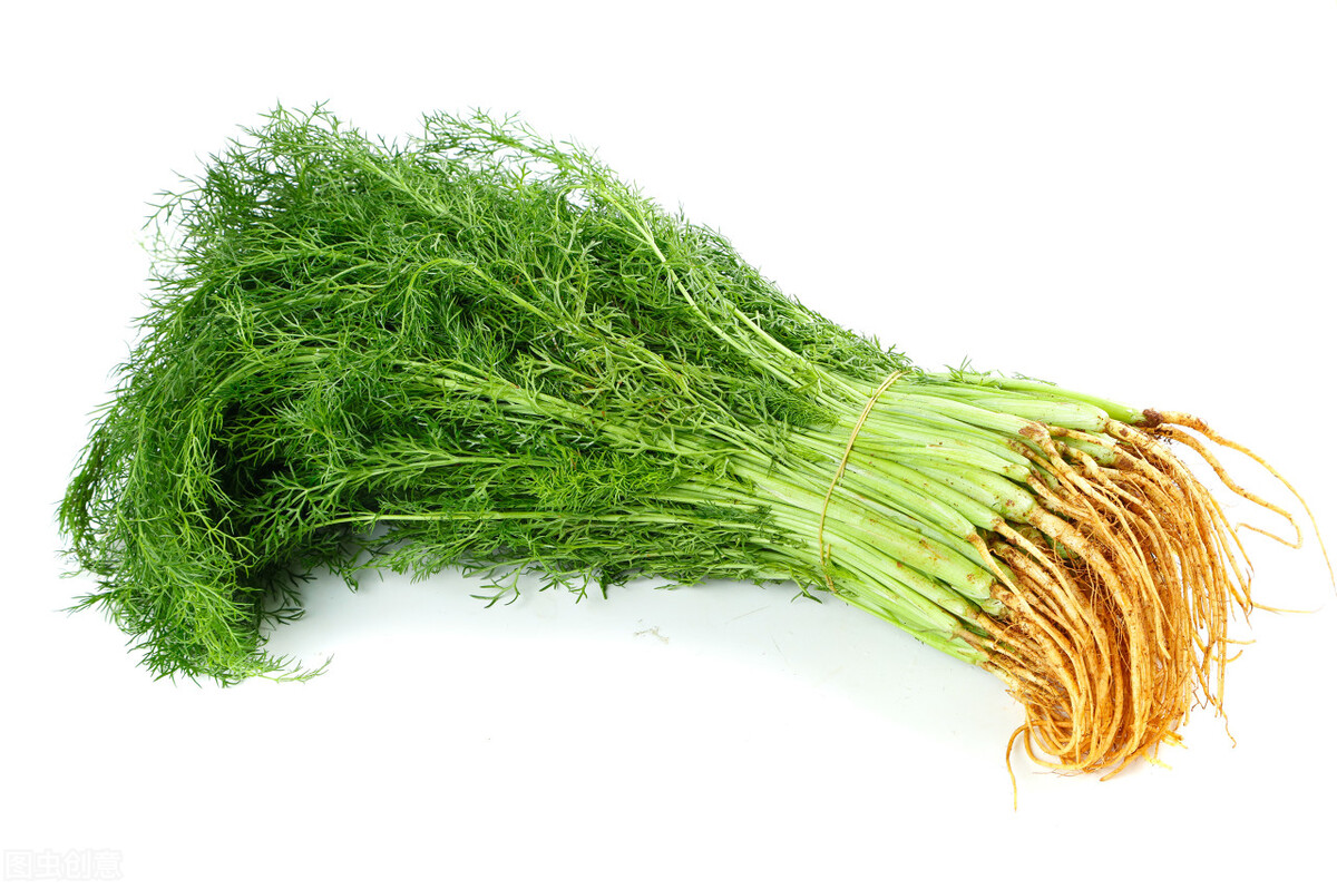 冬天茴香是个宝，和猪肉包成饺子，记住2放1不放，鲜香味美真好吃