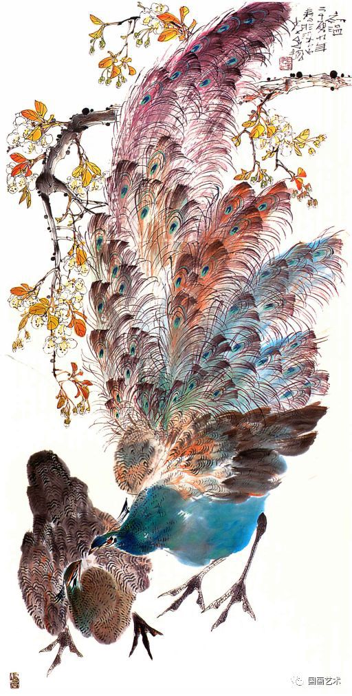 孔雀东南飞！高贵、冷艳的白孔雀