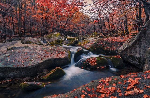 每日一词《桂枝香》赏析