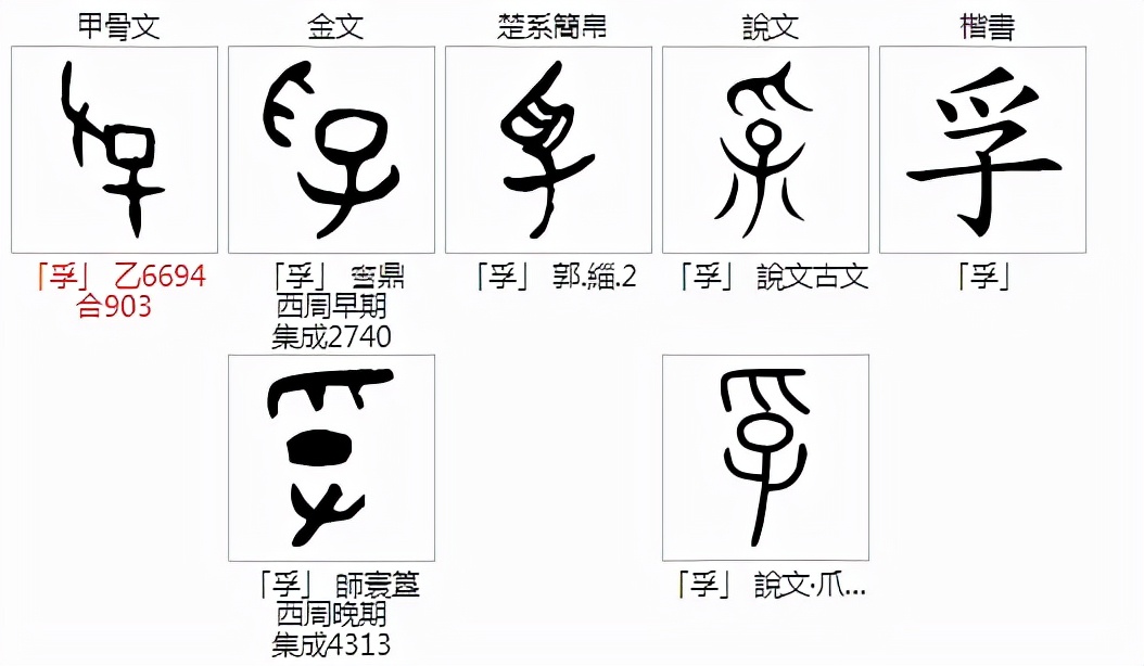手爪抓取討掏同源考