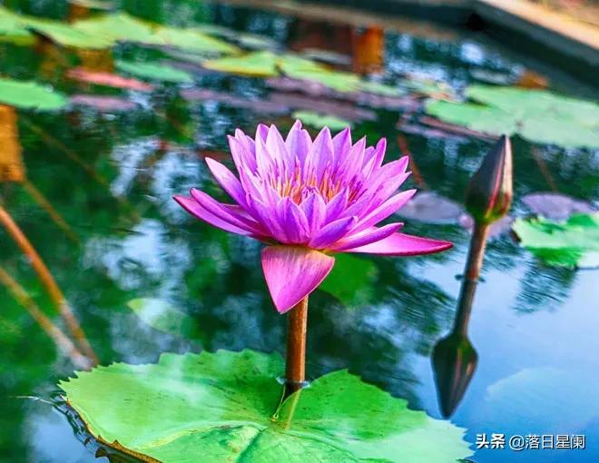 烟雨流年，稍纵即逝，只愿静守岁月，一生无恙