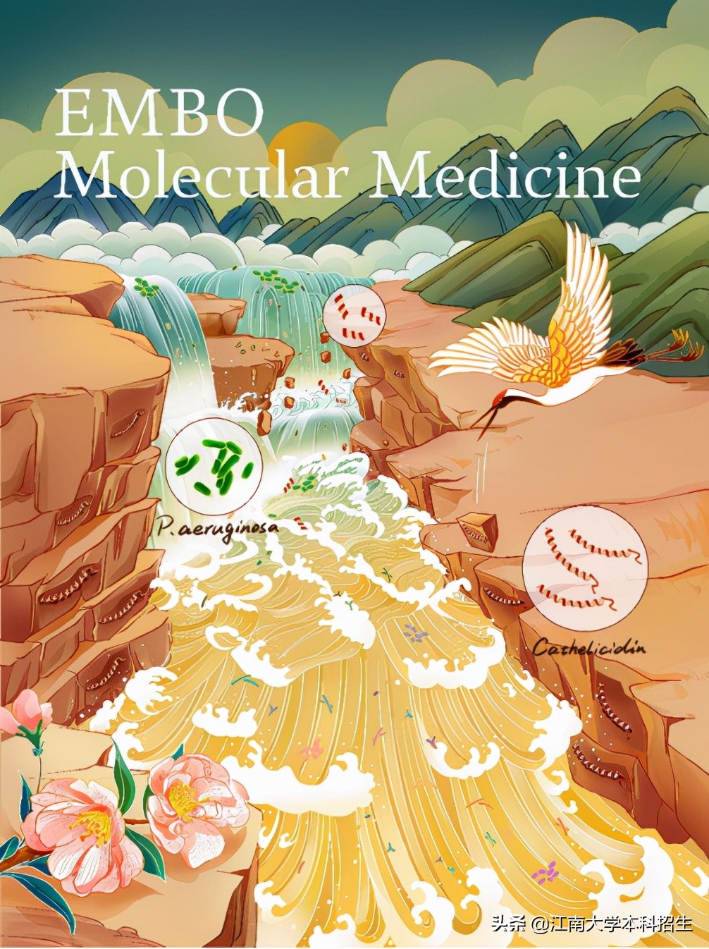 近一个月以来，江苏这所双一流大学屡次取得重要进展，成果受国内外关注！