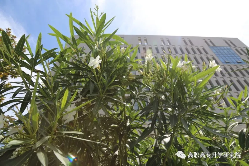 河南机电职业学院